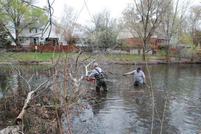 Pond Cleanup